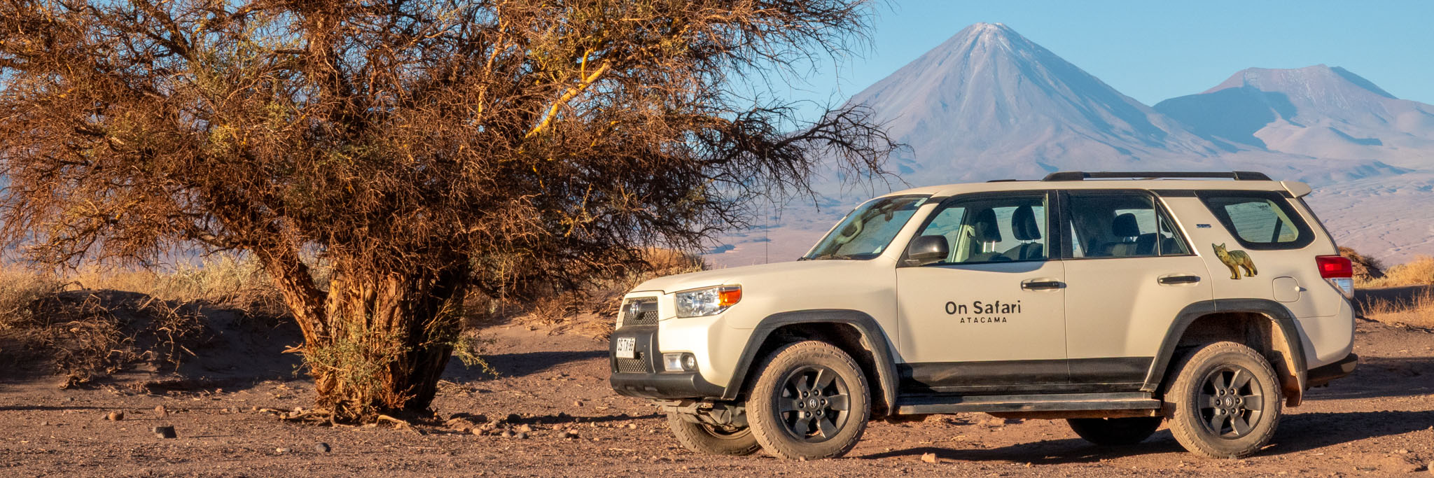 On Safari